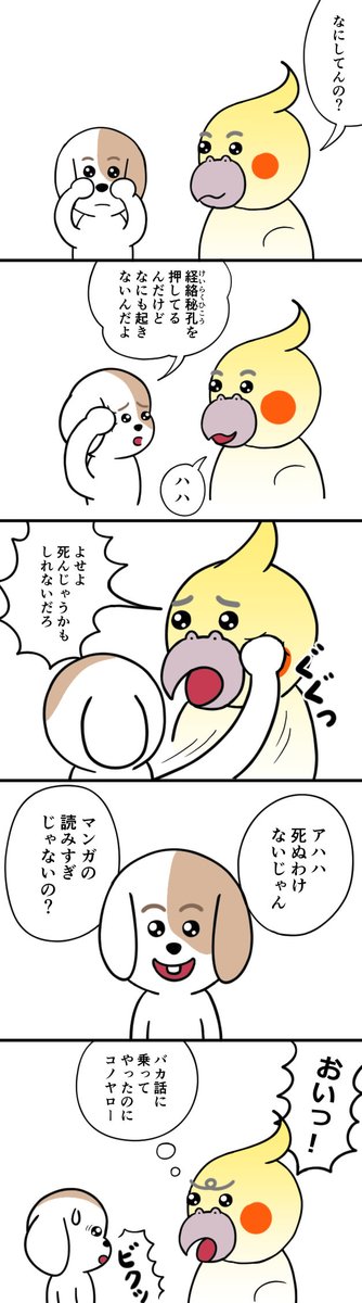 オカメインコのtwitterイラスト検索結果