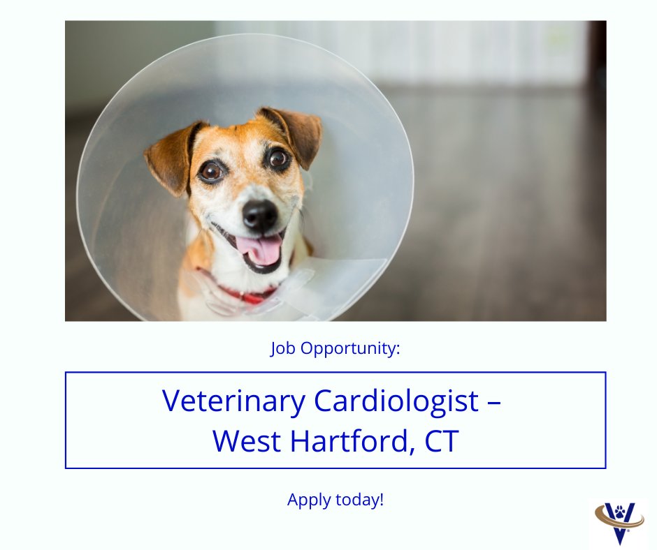 vet cardiologist near me