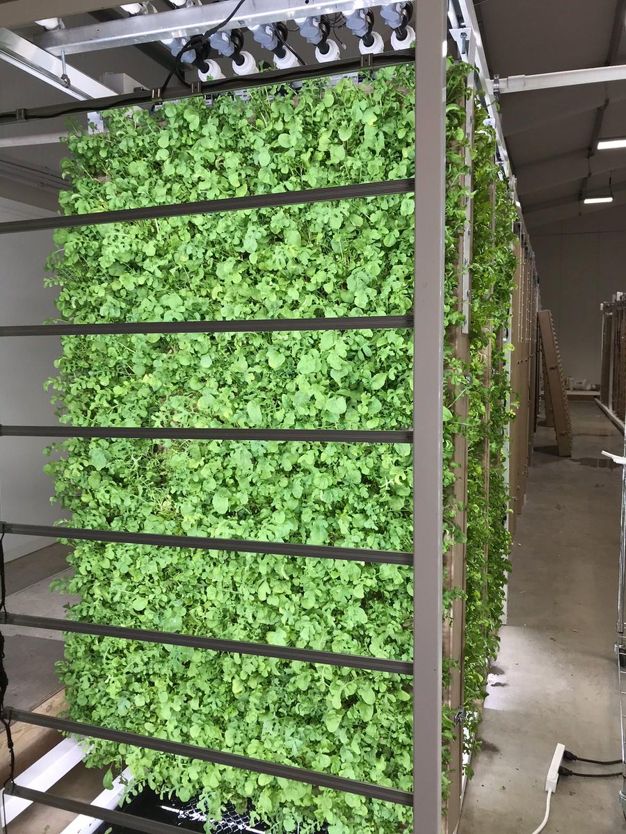 Innovation Agritech Group tweet media