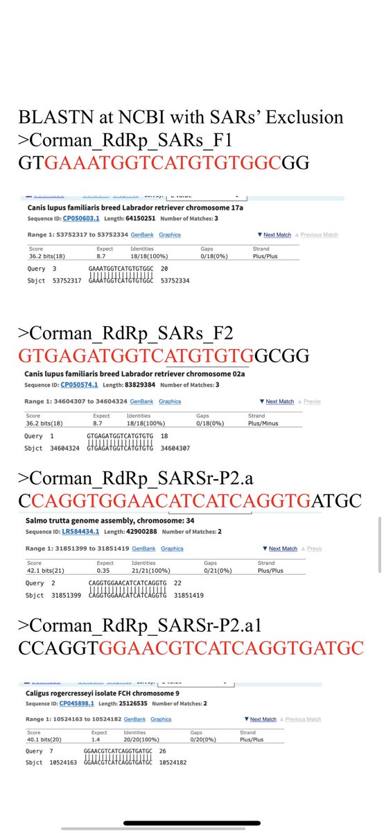 Here are a few more homologies of the primers to off target organisms.There are some long stretches but unless the 3’ end of the primer is landing down these may only recruit primer out of solution and lower efficiency. Might explain the high primer conc used.