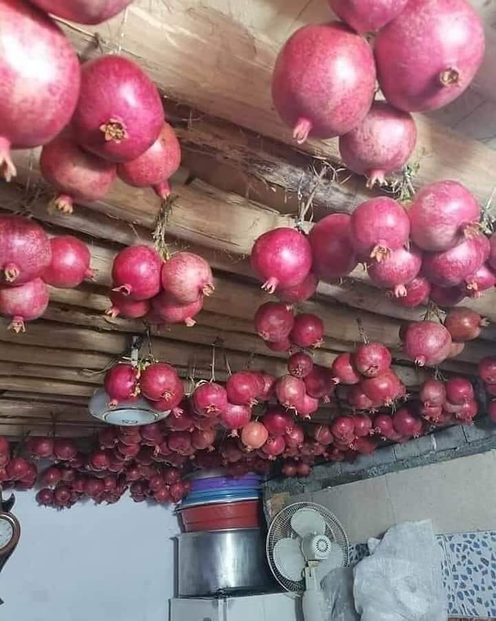 Pomegranates Storage System of Cold Weather Areas in Afghanistan. @Afghanistan_5 @UNDPaf 
@AlisonBlakeFCDO @USAIDAfghan