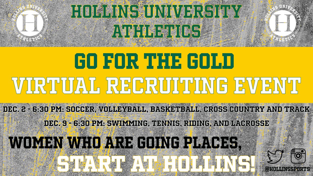 Hollins Volleyball tweet media
