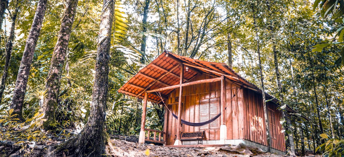 Recharge, relax and take in the Pura Vida that surrounds you, eliminate the buildup of stress from our daily lives, escape the city and immerse yourself in the Costa Rica Jungle while resting in a comfortable Cabin.
paradise-adventures-costa-rica.com/junglecabins/