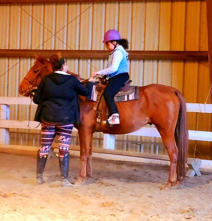 #mysticmoonfarm my babies first lesson