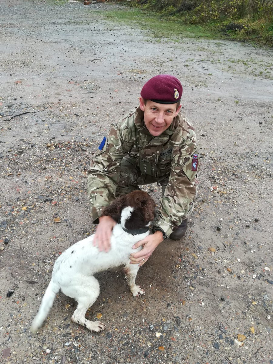 Rev Richard Meikle, Chaplain to @2PARA_HQ spends time with Flo, a Military Working Dog whilst on #WessexStorm - demonstrating that the Padre really is a friend to all! @ArmyMedServices @1MWD_Reg @aog__gb @aogukchaplains @16AirAssltBde #dogsontwitter #4leggedfriend #dogslife