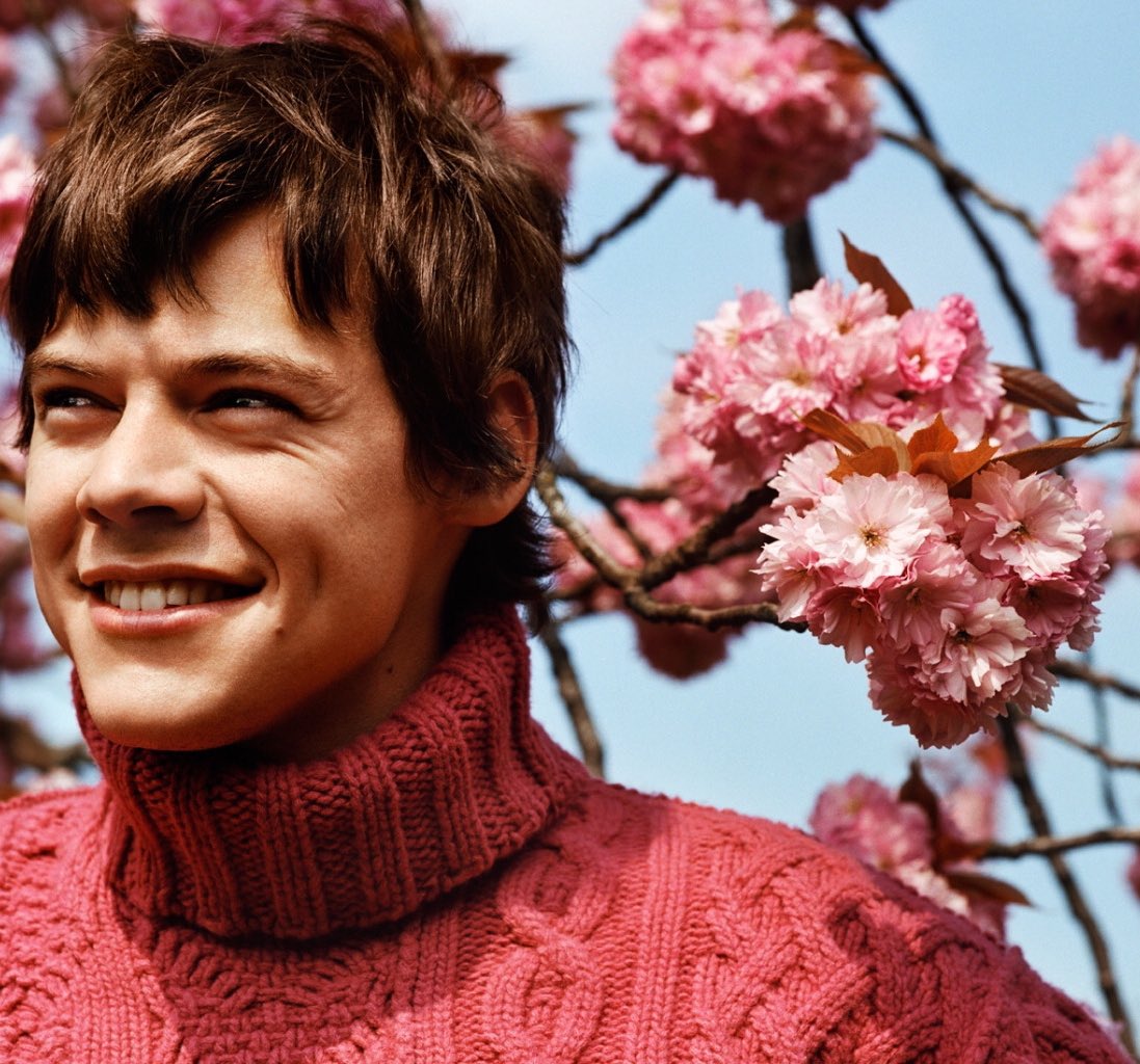 harry styles as lambs~ a very important thread