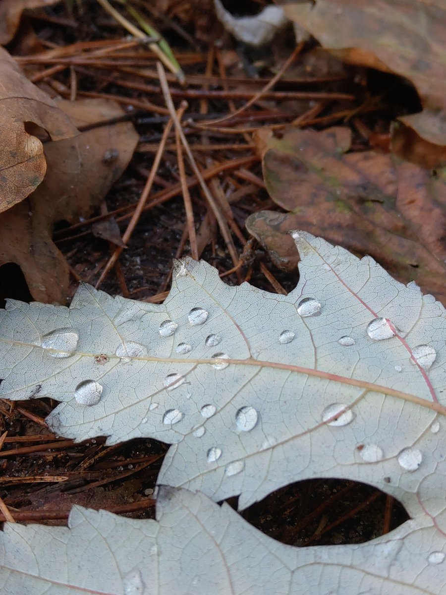 sardroid's tweet image. Krople #htcu12plus #promode