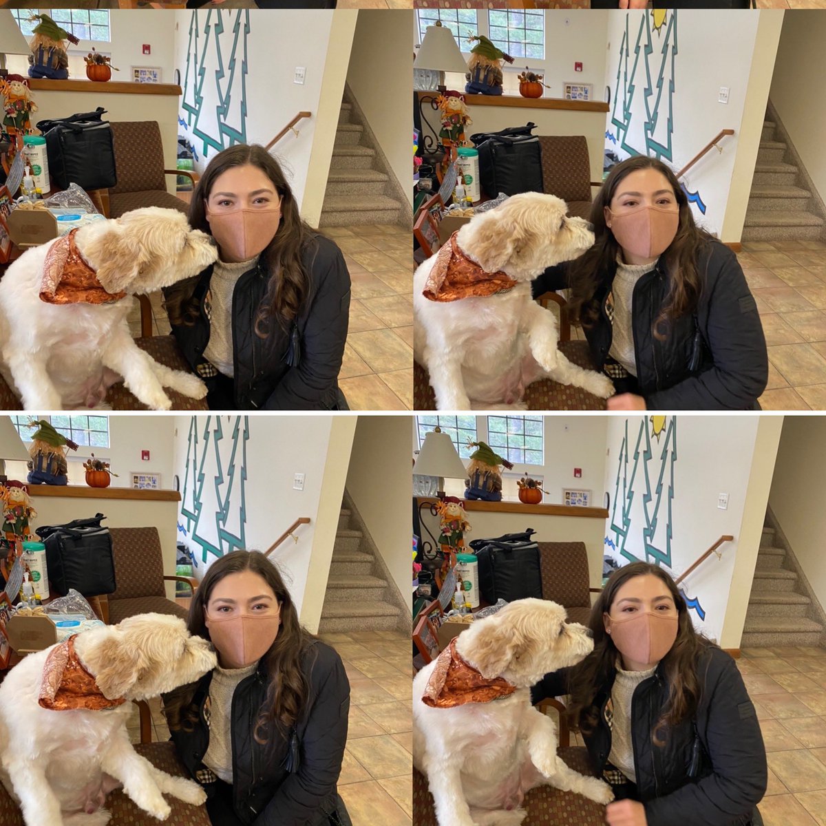 Spring Lake Day Camp tweet media