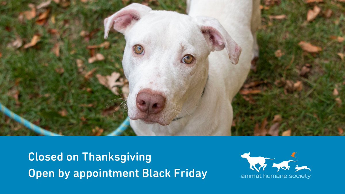 the center animal humane