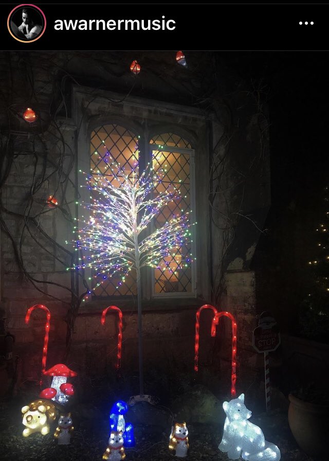The Christmas decorating continues at The Dornan home. 🎄🎁🎉🎉
#JamieDornan #AmeliaWarner