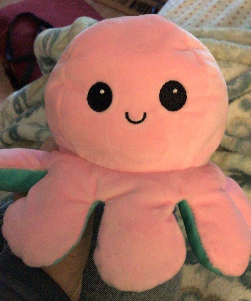 while you’re here, check out these adorable cuddly plushies! reversible and therapeutic, so soft too   http://mood-plushies.com/octo 