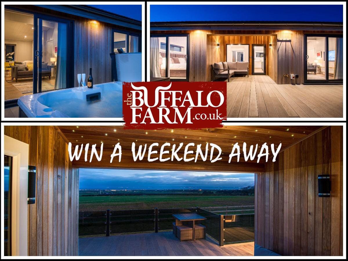 The Buffalo Farm tweet media