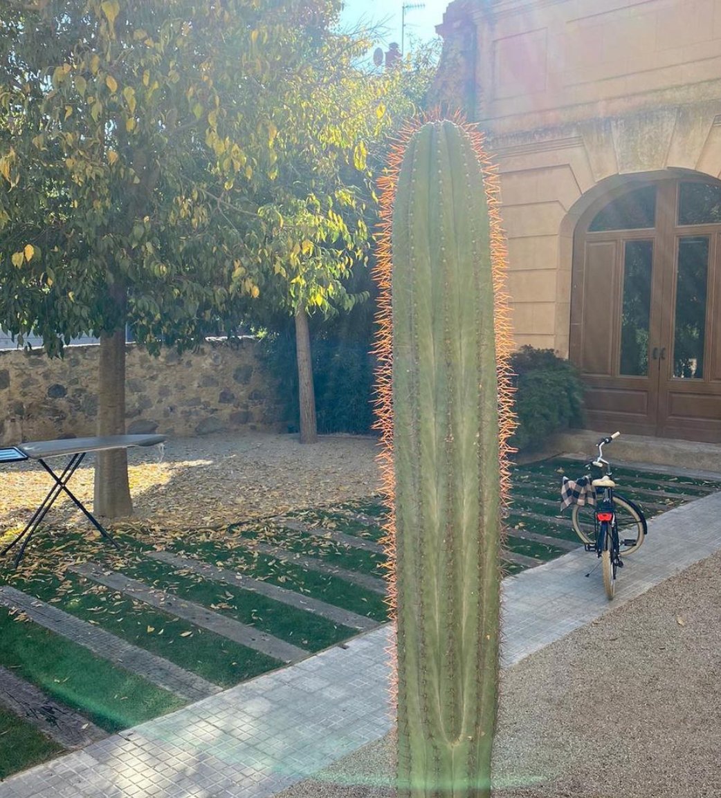 Uno de los mayores objetivos de #Apolox es impulsar empresas #sostenibles 🚀 Tenemos claro que el compromiso con el bienestar del planeta depende del uso eficiente que todos hacemos de nuestros recursos 🌱

¿Os gustaría que compartiésemos ideas para podáis ser más sustentables?💥