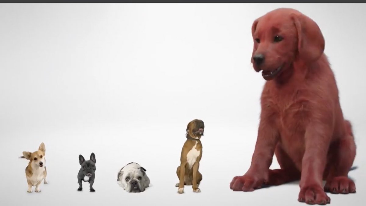 @MattHerms's photo on Clifford