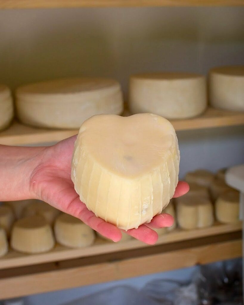 Is there a truer love than than a love of cheese? Especially when paired with a great Prosecco 🧀🥂 

This particular cheese is a goats cheese made from the Murciana goat by husband and wife team Arianna and Walter in the Prosecco hills 🇮🇹 

At this li… instagr.am/p/CIBSBQsH8gq/