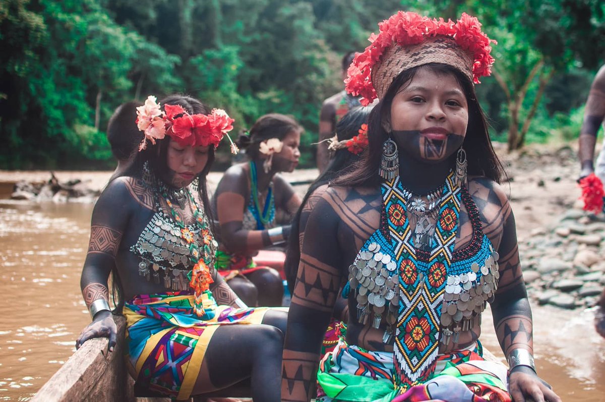 No te pierdas hoy a las 7:00 pm desde la cuenta de Youtube de TV INDIGENA  a nuestros hermanos y miembros de la Canaturi- que nos hablarán todo acerca de su empresa de Turismo Comunitario Puru Biakiru