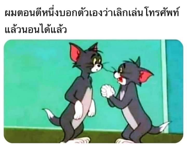 ช่างแม่ง🐰🏳️‍🌈 tweet media