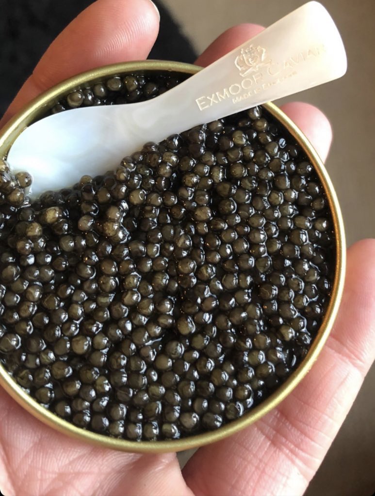 London Fine Foods (@londonfinefoods) on Twitter photo There’s still time to take advantage of our Black Friday offer on Exmoor Caviar Cornish Salted.
All tins have a 3 month shelf life so order yours now and see if you can keep it unopened until Christmas... #londonfinefoods #caviar #exmoorcaviar
📷 <a href="/rebecca_sides/">Mia rebecca Sides</a> on Instagram There’s still time to take advantage of our Black Friday offer on Exmoor Caviar Cornish Salted.
All tins have a 3 month shelf life so order yours now and see if you can keep it unopened until Christmas... #londonfinefoods #caviar #exmoorcaviar
📷 <a href="/rebecca_sides/">Mia rebecca Sides</a> on Instagram