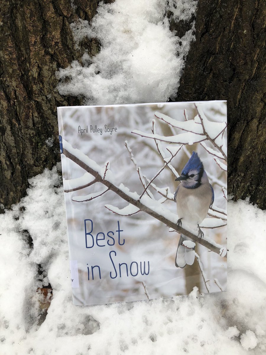 stephenglish1's tweet photo. What a beautiful book from @quaffleball library to share with the class today! Students then built our own small homes for the animals to hibernate #scdsb #scdsbreads @AndrewHunterES @RloschRobbie @Bigideasinedu @SCDSBLiteracy https://t.co/jCF1ra7wQ7