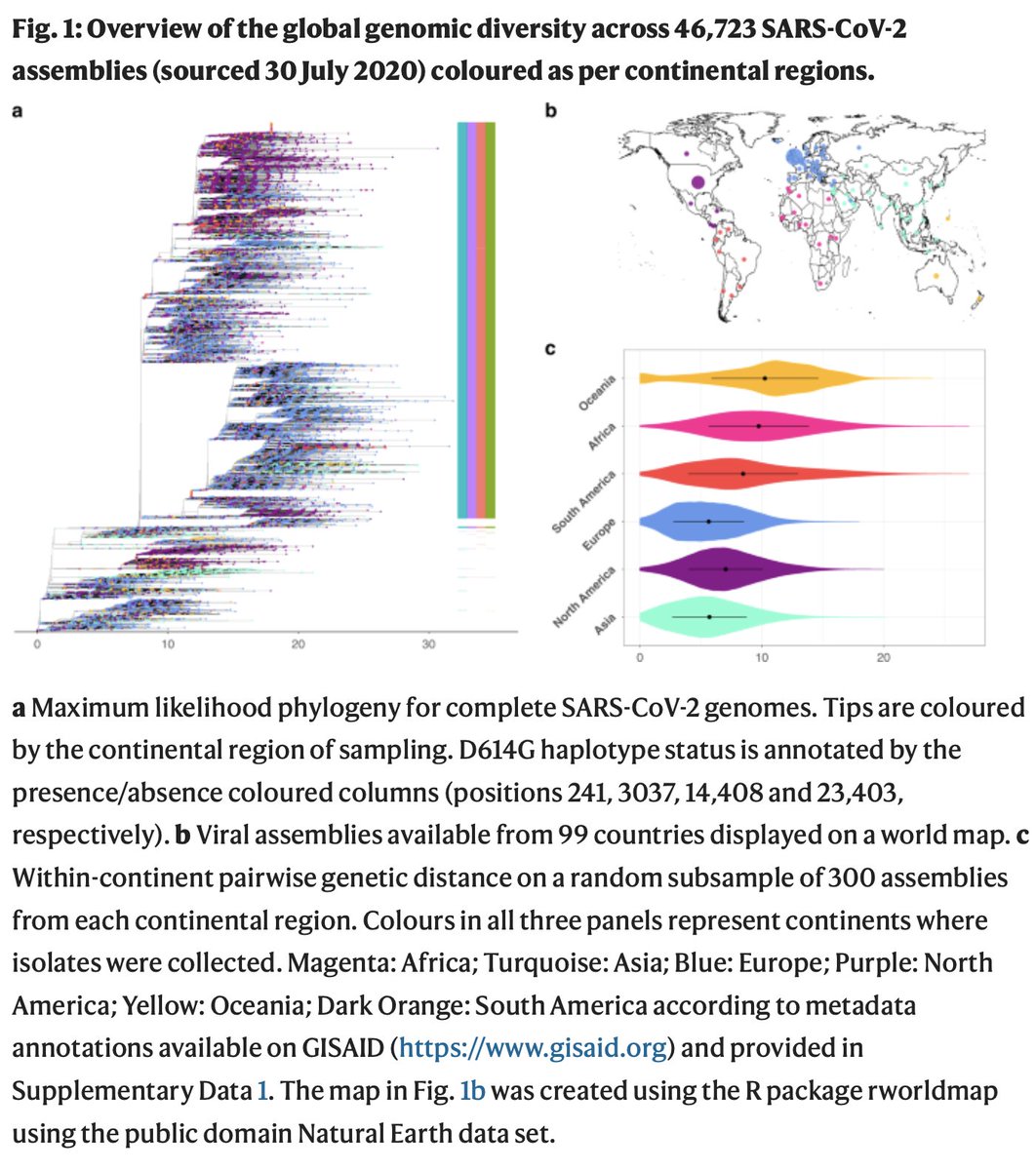 Paper out in Nature Comms. We developed a framework to analyse the contribution of  #SARSCoV2 mutations to the virus' transmissibility. We applied it to nearly 50k genomes and we found none (zero, zilch, nada) that increases transmission!1/ https://www.nature.com/articles/s41467-020-19818-2