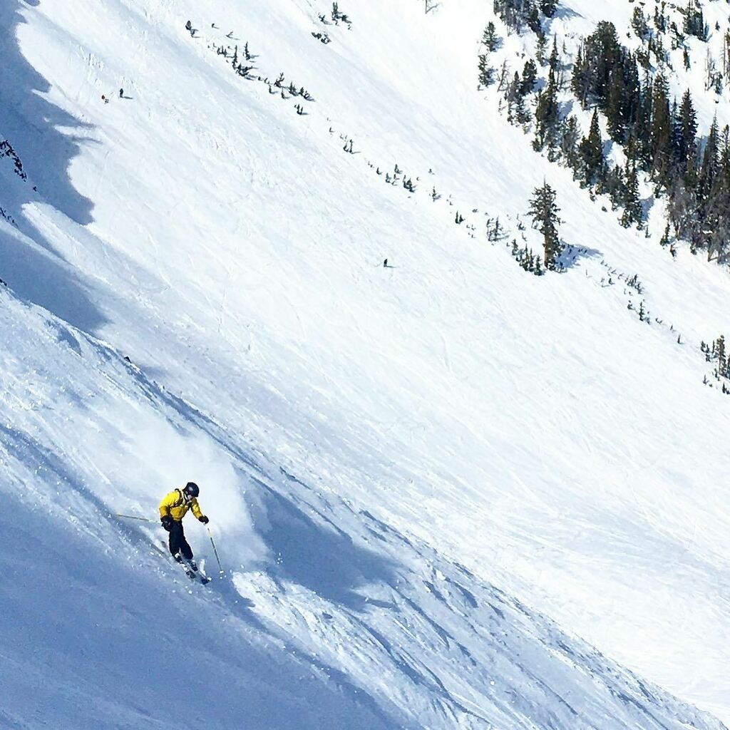getoutandtrek's tweet photo. Some seek the peak, others crave the ride down... 

⚠️ no GOATs were harmed while snapping this insanely awesome photo from our trip to @bigskyresort . 

-__________________
We are Get Out And Trek (GOAT) an outdoor-loving community of lgbtq adventurists. Get Out • Be Free •… https://t.co/KoO4yieEk2