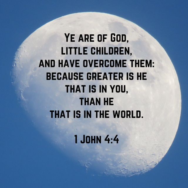 ministerricky1's tweet image. Our Father #DrawClose in #ComfortAndStrength to all subjected to #MentalAndEmotional #Abuse

I didn't want to go home because of #VerbalAbuse of #SpiritualAttacks designed to break a person down

But #GreaterAreYou inside us, #Strengthen us in #YourWord

#IJCN,TY
#EuropaAfricaUS