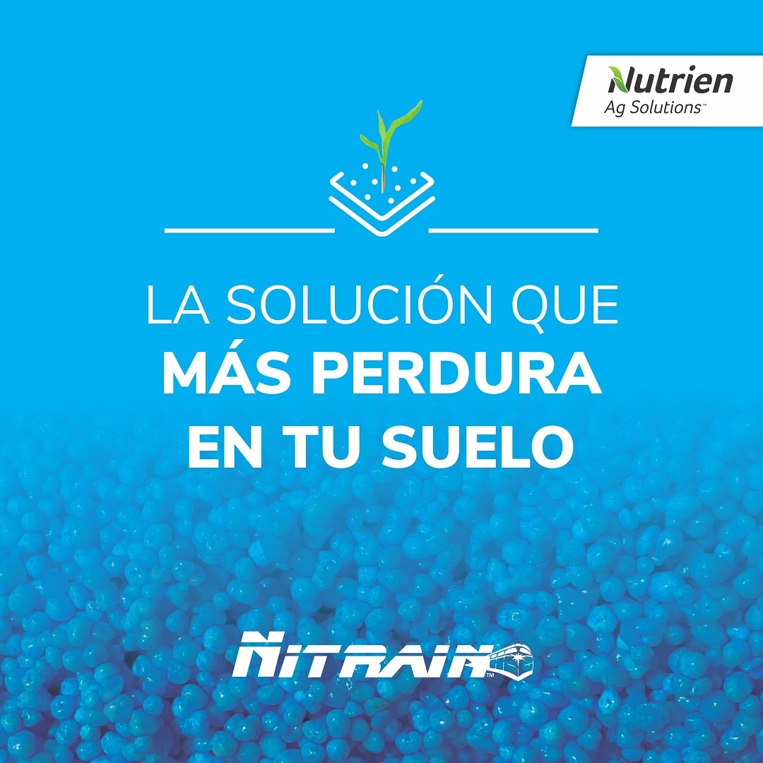 NutrienUruguay's tweet photo. Las pérdidas de Nitrógeno por volatilización pueden ser sustanciales.
Con Nitrain tu aplicación permanece por más tiempo sobre el suelo.
Contactá a tu técnico de Nutrien más cercano.
#nitrain #urea #ureaprotegida #nitrogeno #suelo https://t.co/722rm5p1Xk
