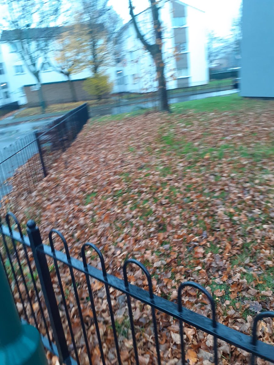 Dales Public Realm tweet media