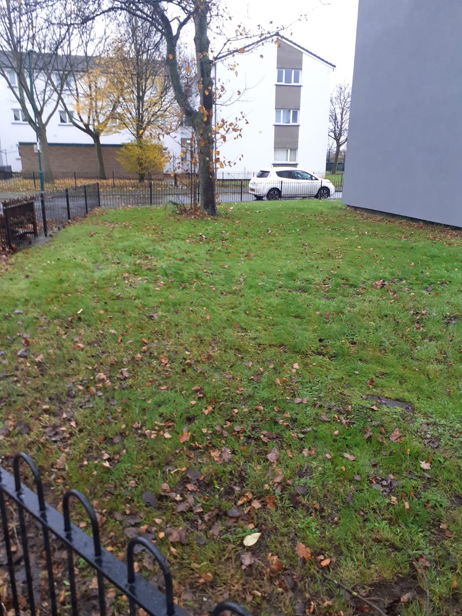 More leaf clearance on Newark Crescent!@CllrDavidMellen <a href="/CllrNeghat/">Neghat Khan</a> @chidiegenti <a href="/CllrGulKhan/">Gul Nawaz Khan</a>