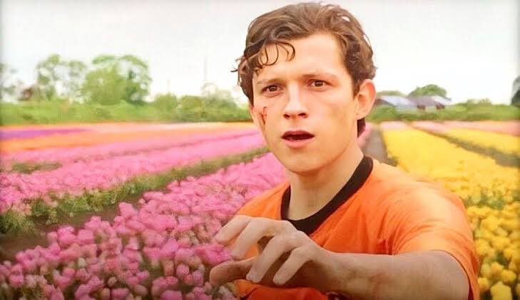 tom as peter parker in spider-man far from home (2019)