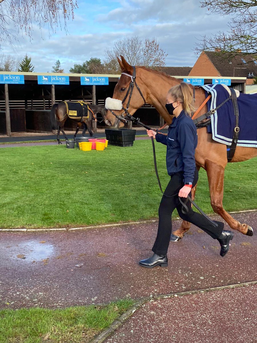 NichollsMat's tweet photo. The good looking Imperial Icon wins @HerefordRaces in a photo finish..well done owners @Imperial_Racing https://t.co/K4u5Ybt62f