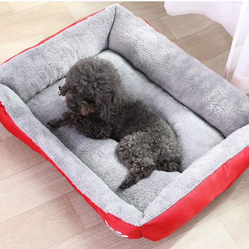 splootsy's tweet photo. BLACK FRIDAY SALE Now On!
Up to 50% off Pet products across the store 
+ an Extra 15% off when you subscriber to our newsletter
Follow @splootsy 
#petproducts #dogproducts #blackfridaydeal #blackfridaysales #blackfriday2020 #blackfridaydeals #petbeds #dog #cats #catbeds #splootsy https://t.co/My10bQTwES