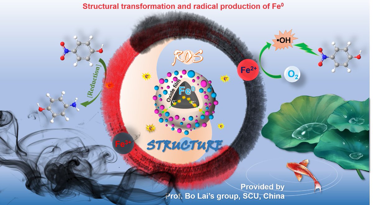 ChinChemLett's tweet image. An old story with new insight into the structural transformation and radical production of micron-scale zero-valent iron on successive reactivities. #Zerovalentiron #Structuraltransformation #Successivereactivities  sciencedirect.com/science/articl…