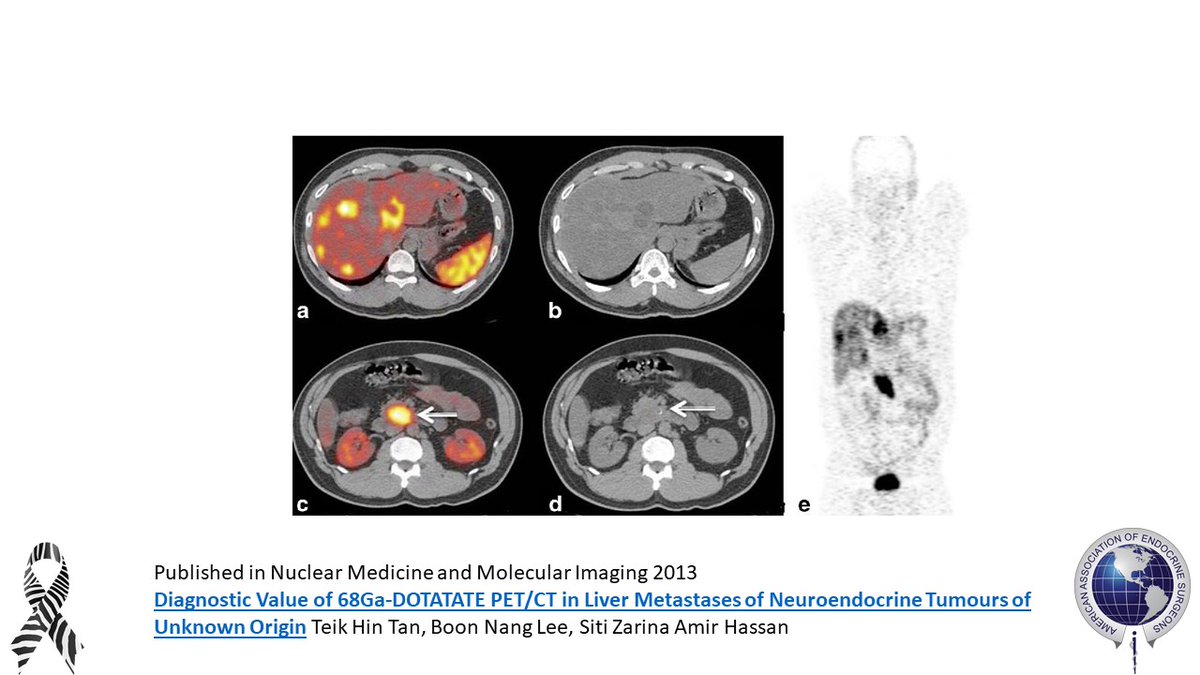 American Association of Endocrine Surgeons tweet media