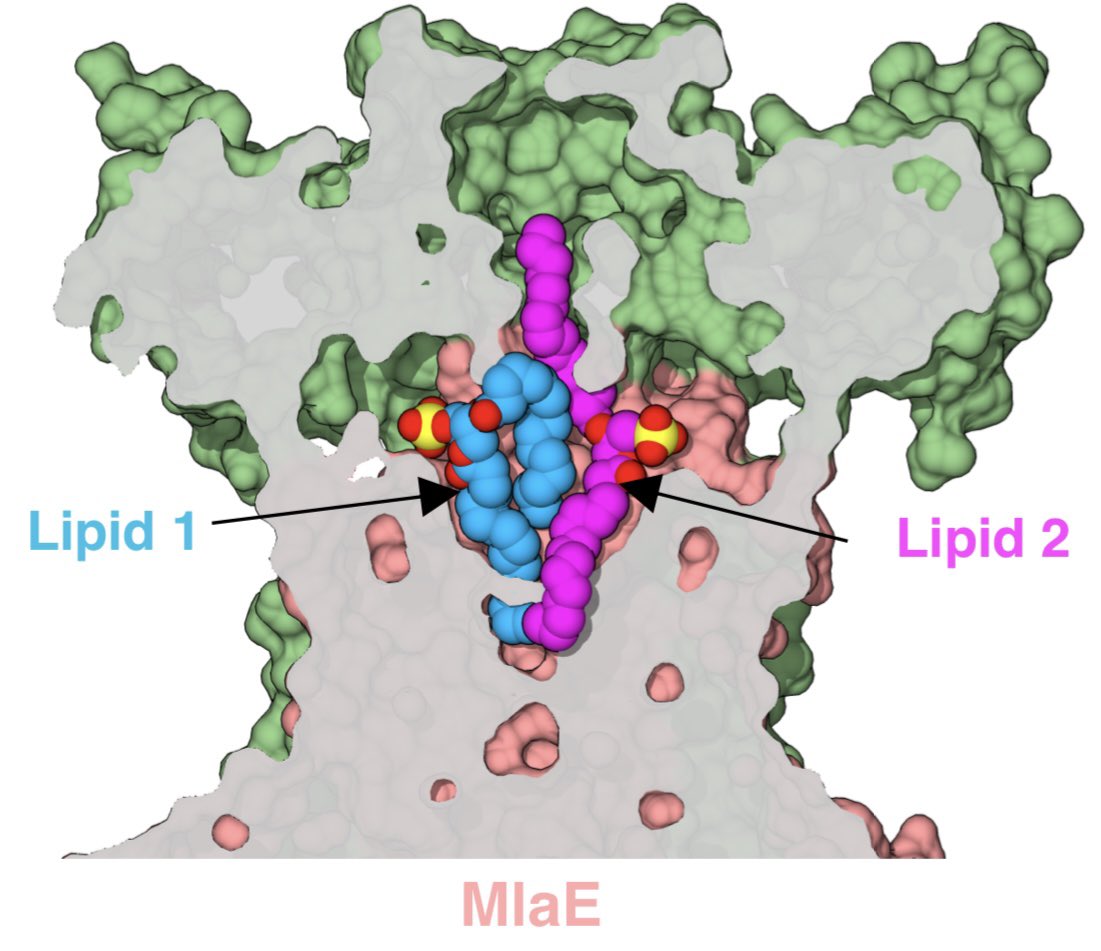 Mark MacRae tweet media