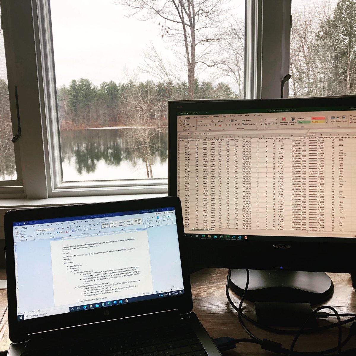 LindseyRustad's tweet image. ‘Am staying home this Thanksgiving and settling into the comfort of writing a new paper on litter decay, the capstone of a decadal long study! A big part of science is patience and perseverance!  #thisiswhatascientistlookslike #StaySafeForScience #ifthenshecan #HappyThanksgiving