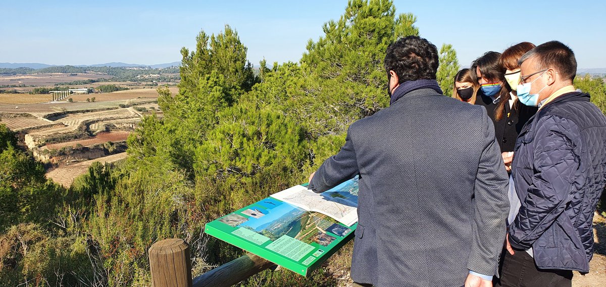 Demanem a @LauraBorras que traslladi a l’Estat el consens que el #QuartCinturó no destrossi el paisatge de #santsadurní.

📍Ho hem fet des de la Miranda d’Espiells, on Borràs ha pogut contemplar com afectaria el pas del Quart Cinturó.

#Penedès