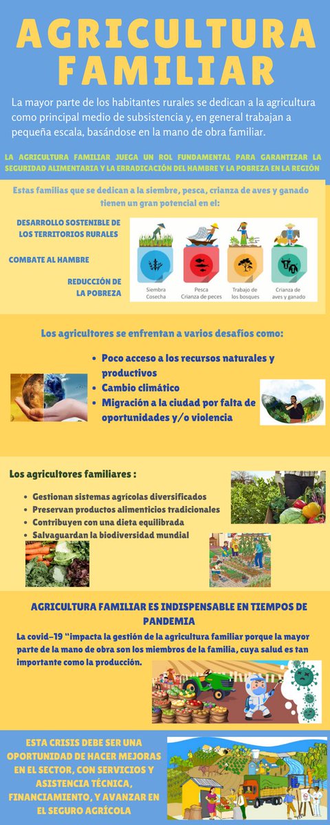 DIANA CAROLINA MAYORGA tweet media