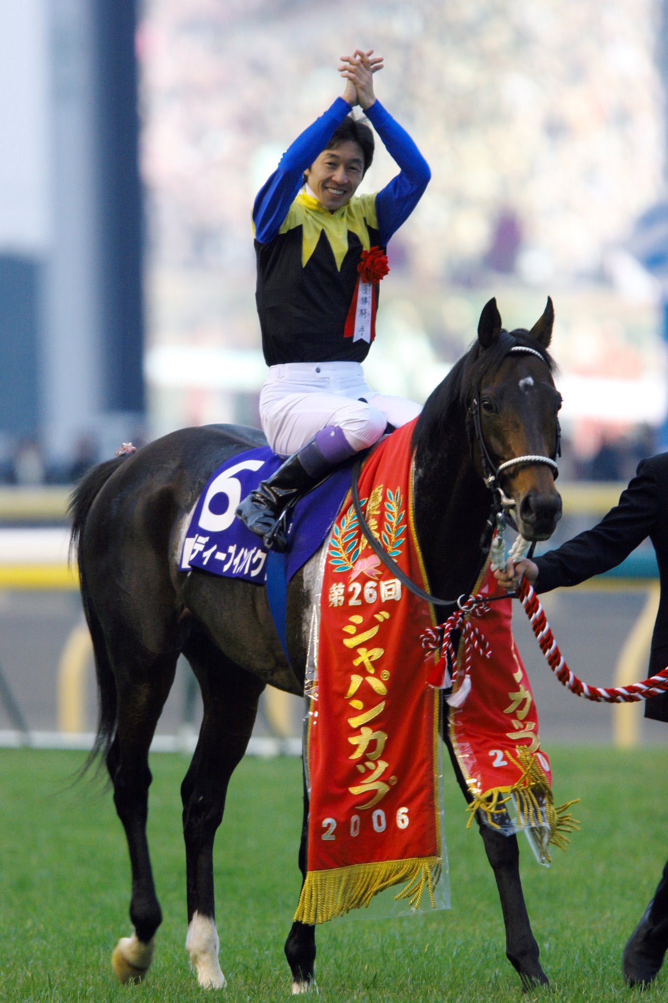 競馬］ディープインパクト（2006年ジャパンカップ）額入りミニ