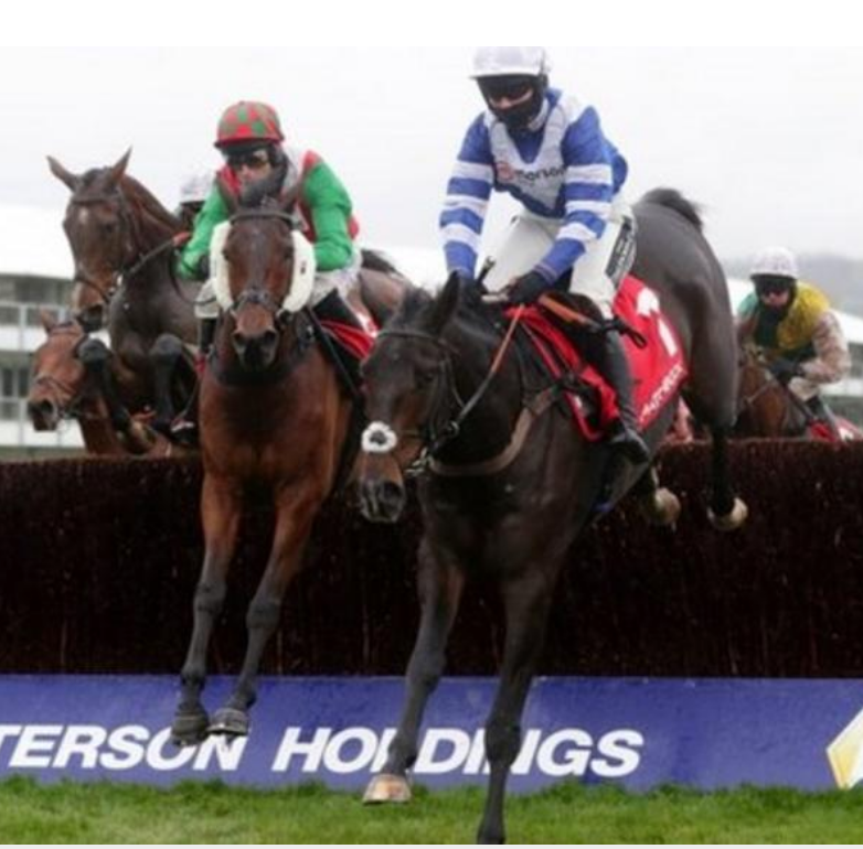 ApexAlgorithms's tweet image. Frodon is likely to be aimed at the Cheltenham Gold Cup after returning to winning form under Bryony Frost.