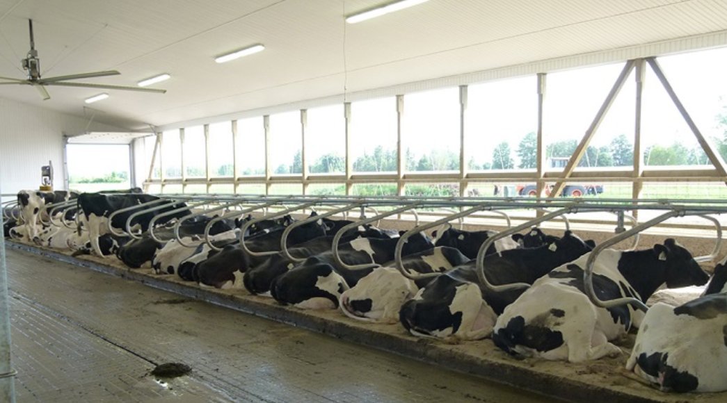 PrevTech_Innov's tweet photo. Thinking about installing a PrevTech monitoring system in your barn? The Smart Sensor system is recognized by insurers. Talk to your insurance company today about fire prevention programs. #ontag #fireprevention #prevtech https://t.co/uZs5quRQCv