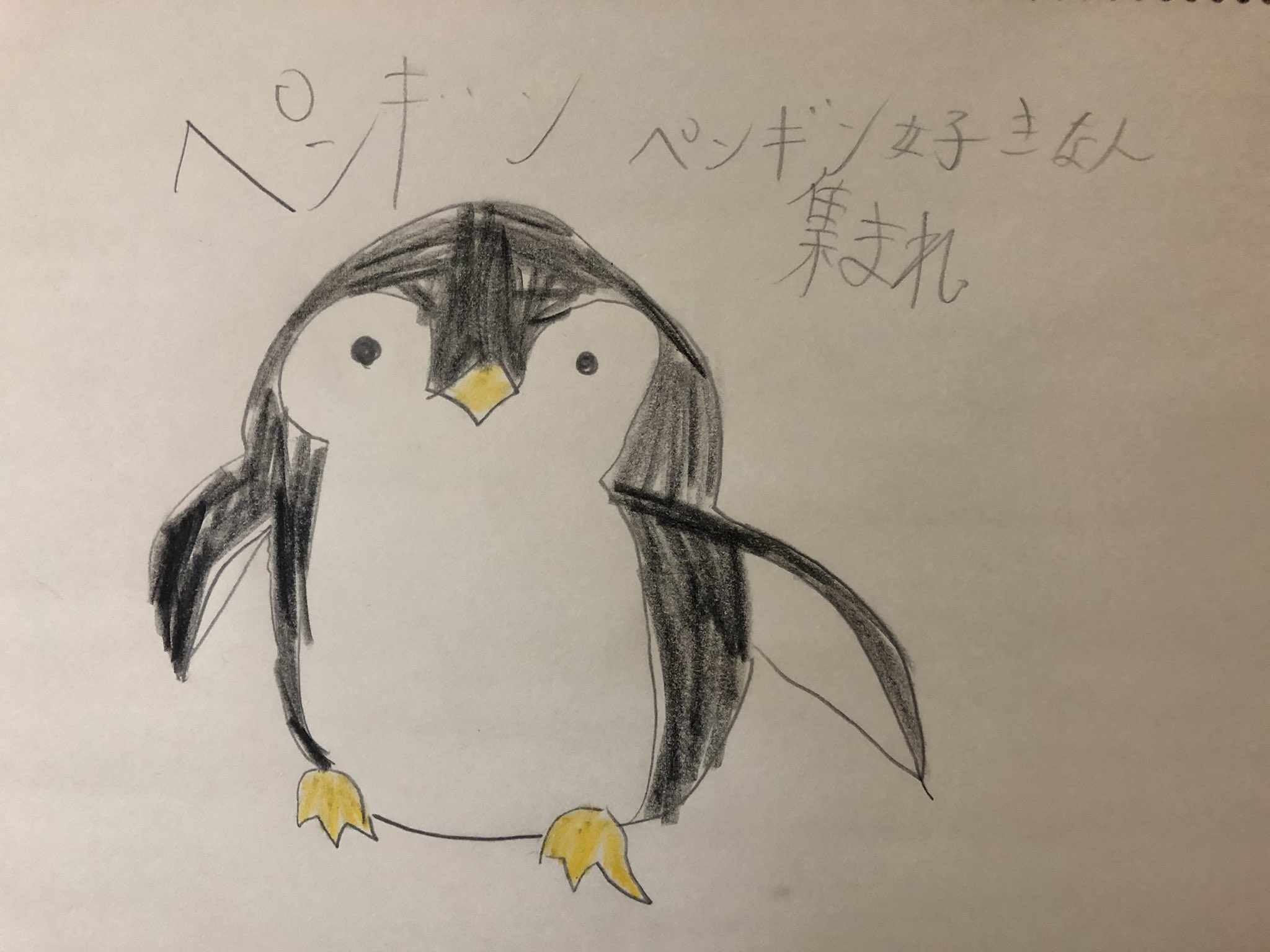 かに シンカ好き 11 25 ぺんぎん ペンギンって可愛いですよね イラスト イラスト初心者 お絵かき お絵かき初心者 ペンギン ぺんぎん Penguin 可愛い かわいい ペンギンかわいい ペンギン好きな人集まれ 塗り方教えて アドバイス募集中