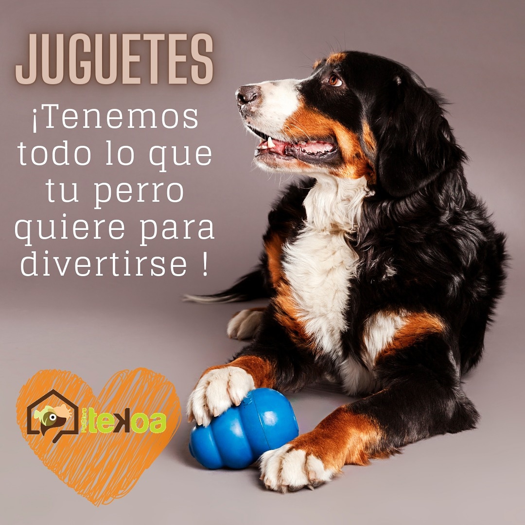 Visitanos o solicita tu domicilio o pide a traves de Rappi. Comunícate con nosotros!!! asesoría y servicio al cliente 3213570400
#tekoapetstore #Tekoa #mascotas #Rappi #leal #pet #domicilio #alimentomascotas #perro #gato