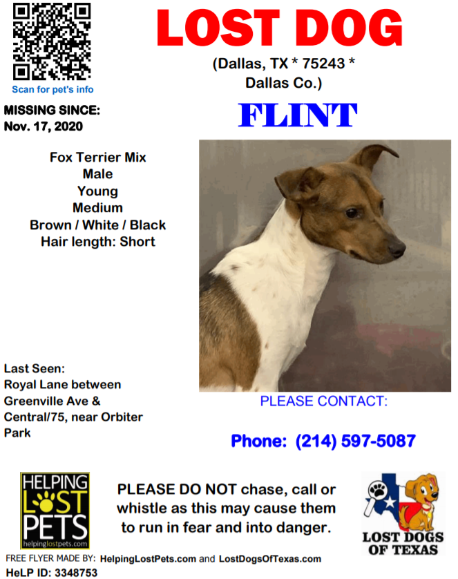 AbandonedPetPJT's tweet photo. URGENT: Can you help us find Flint? He recently got out and his new family is looking for him! He chipped but did not have a collar when he got out!
#LostDog #LostDogsofTexas #DallasDogs https://t.co/RjDIH5ifDn
