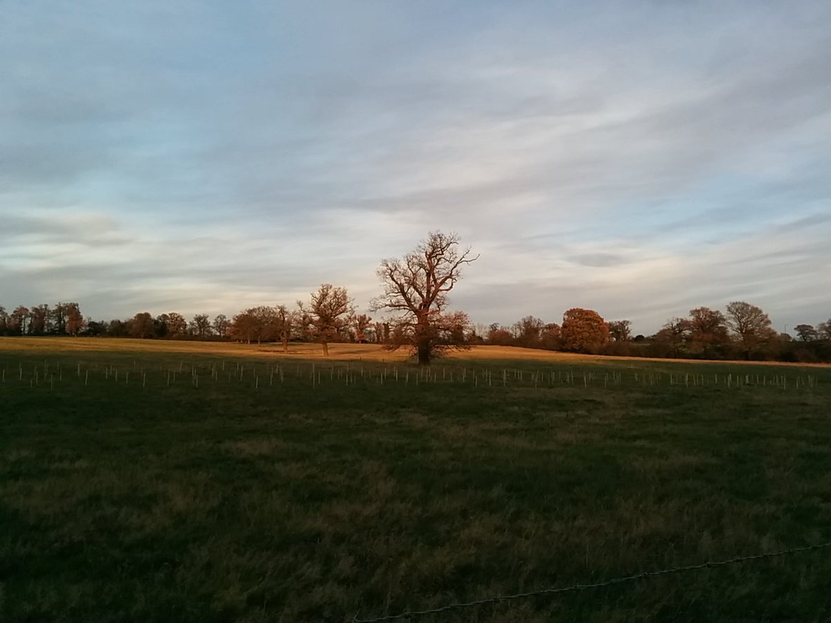 AlisonJArcher's tweet photo. Brilliant day out in #Enfield yesterday planting trees for rivers with colleagues https://t.co/lwCwlWF0Lt #lucky #verylucky #getoutside #TreesForRivers @Thames21 @EnfieldSuDS https://t.co/G0HYMcJ0vG