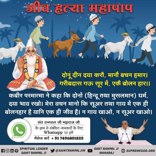 #Allah_Prohibits_EatingMeat⚡कबीर परमात्मा ने कहा कि दोनों (हिन्दु तथा मुसलमान) धर्म, दया भाव रखो। मेरा वचन मानो कि सूअर तथा गाय में एक ही बोलनहार है यानि एक ही जीव है। न गाय खाओ, न सूअर खाओ।
दोनूं दीन दया करौ, मानौं बचन हमार। गरीबदास गऊ सूर में, एकै बोलन हार।।