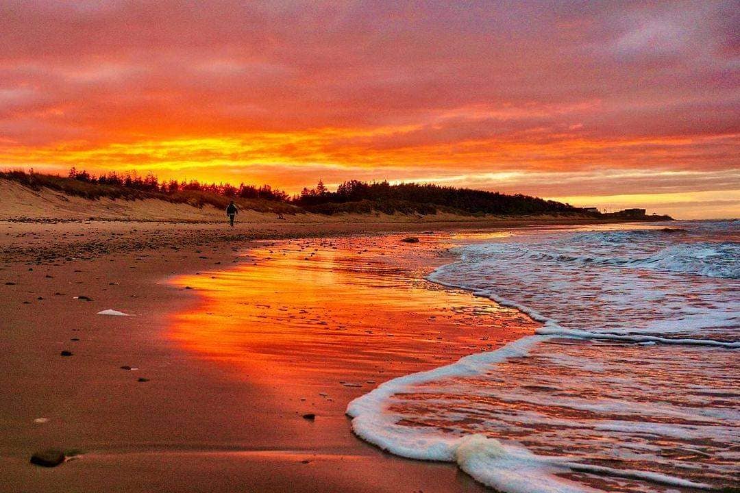 There's still time to get some last beach walks in before the snow starts to fall! Do you have a favourite spot for sunset strolls? 😍 #WeLovePEI

📍 Savage Harbour

Photo by <a href="/photosbyclare/">clare bailey</a>