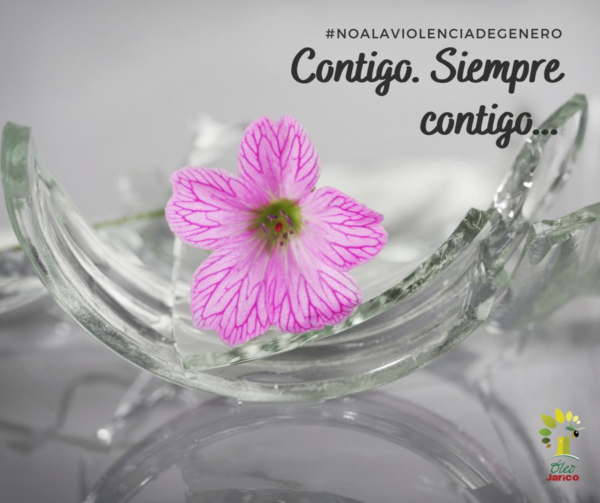 oleojarico's tweet photo. #NOALAVIOLENCIADEGÉNERO
Contigo. Siempre contigo 💜 https://t.co/0oJSzlNwTz