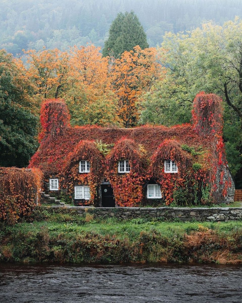 Shezaim's tweet photo. « Witchy Home »
#witch #witchy #witchcraft #witches #witchesofinstagram #witchyvibes #witchythings #witchystyle #witchystuff #wicca #wiccan #pagan #pagans #paganism #magick #magickal #forestspirits #witchesfriend #indietarot #gypsymagic #wiccan #madhukotiyashezaim https://t.co/KC15ScCjLw