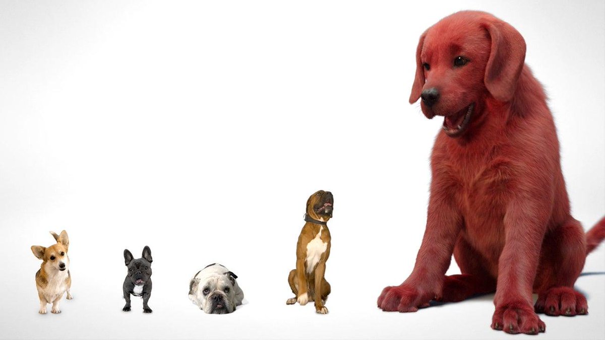 @IGN's photo on Clifford